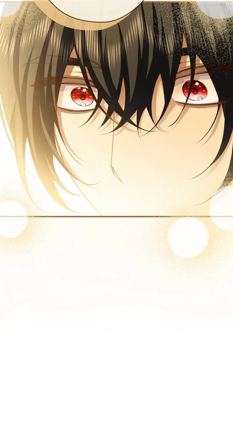 The Prince I Engaged Was A Former Assassin Chapter 15 page 209 - 