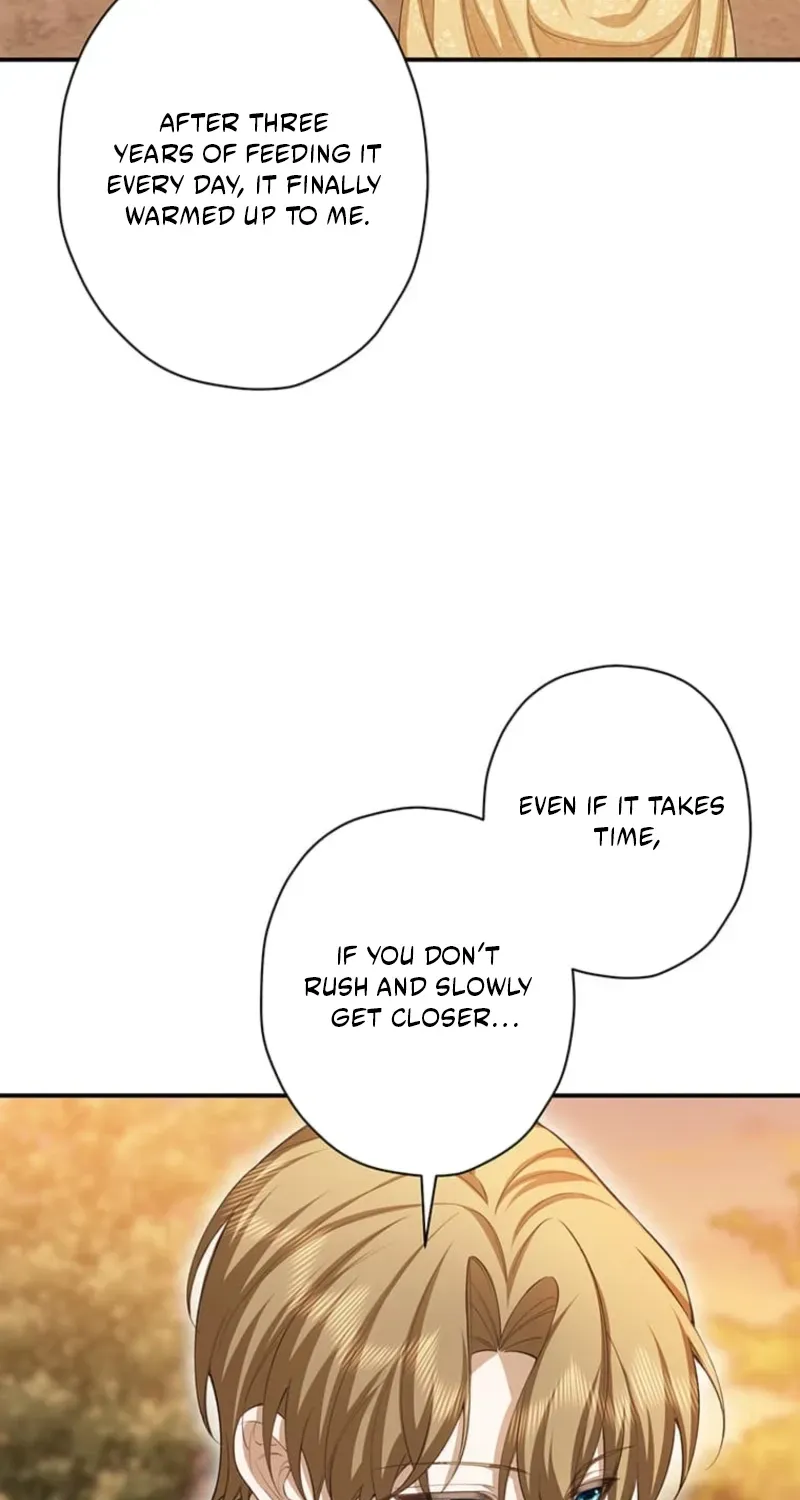 The Prince I Engaged Was A Former Assassin Chapter 17 page 72 - 