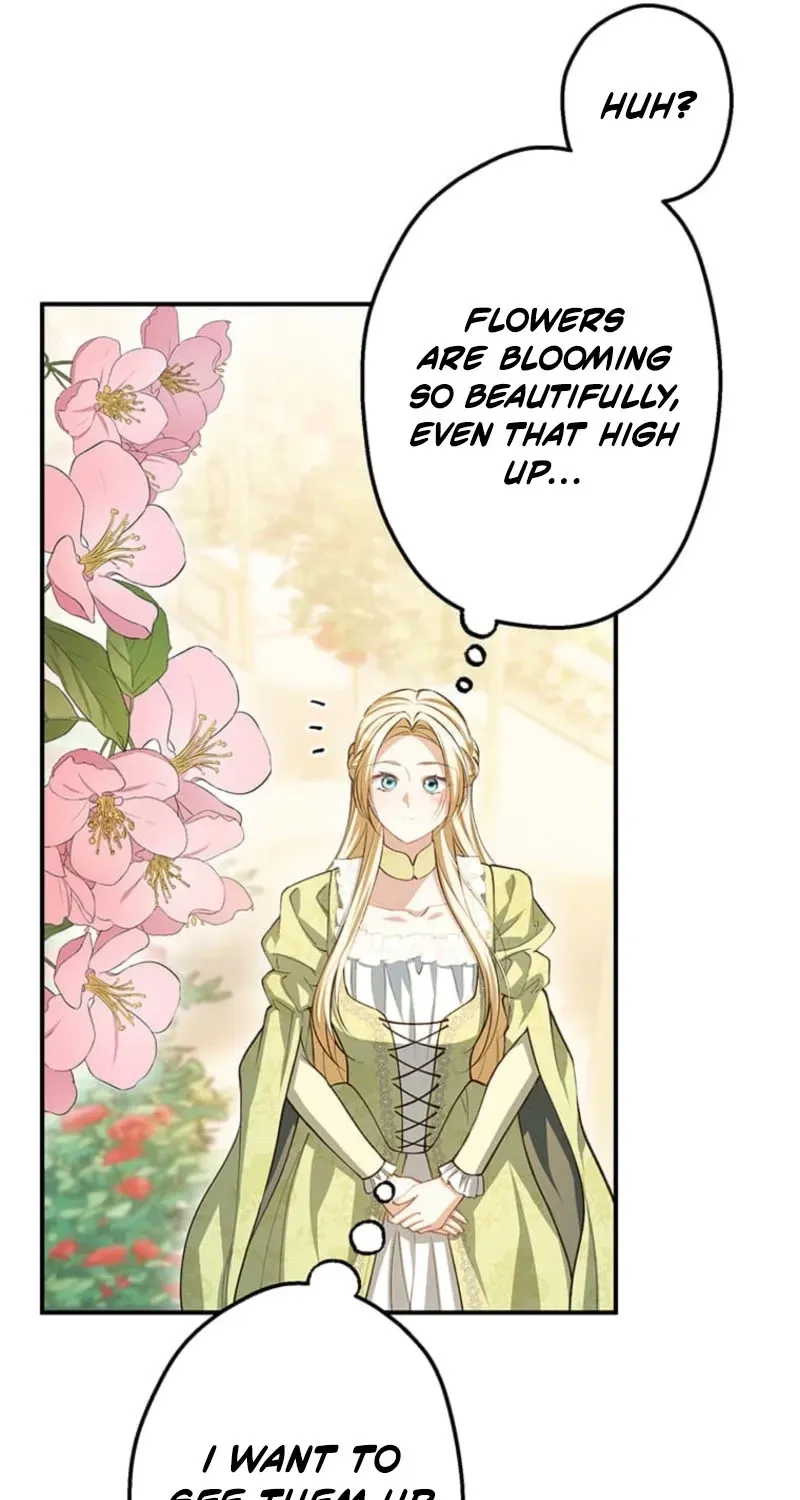 The Prince I Engaged Was A Former Assassin Chapter 24 page 117 - 