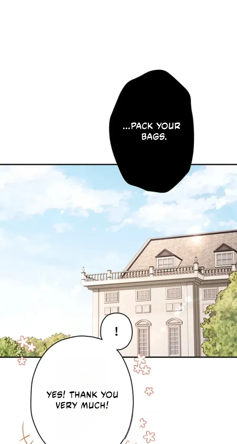 The Prince I Engaged Was A Former Assassin Chapter 26 page 27 - 