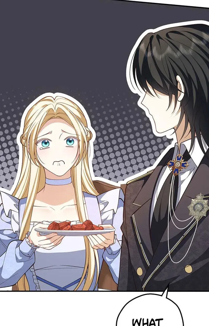The Prince I Engaged Was A Former Assassin Chapter 31 page 17 - 