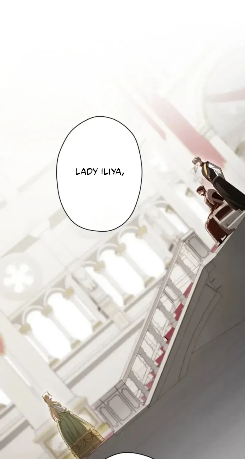The Prince I Engaged Was A Former Assassin Chapter 5 page 41 - 
