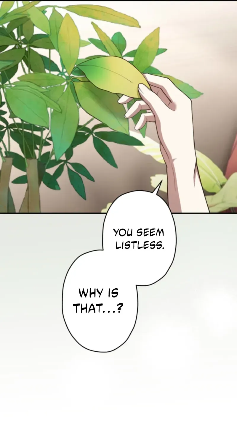 The Prince I Engaged Was A Former Assassin Chapter 8 page 45 - 