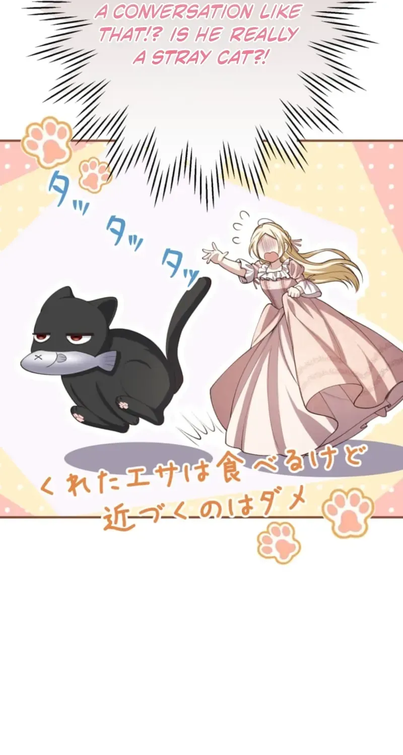 The Prince I Engaged Was A Former Assassin Chapter 8 page 6 - 