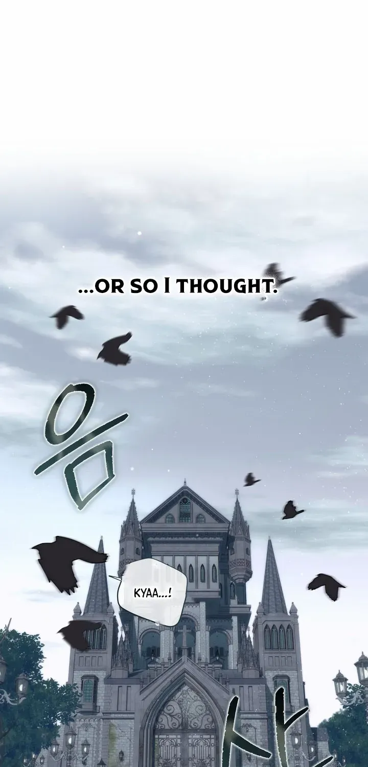 The Prince Meant for You Chapter 1 page 97 - 