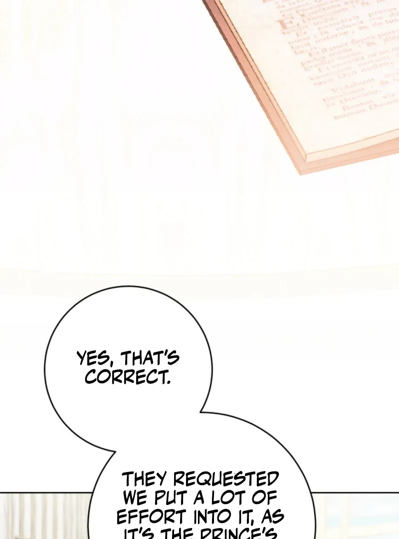 The Prince Meant for You Chapter 17 page 9 - 
