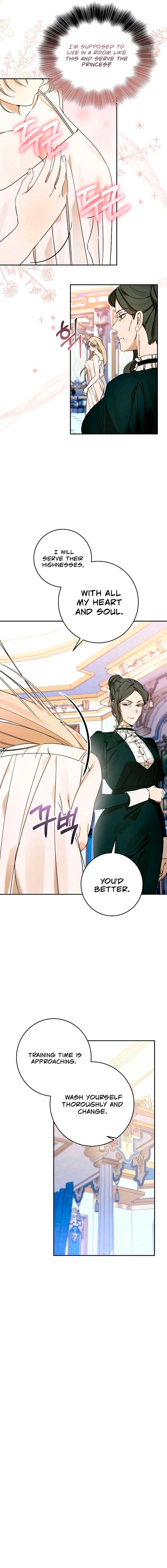 The Princes