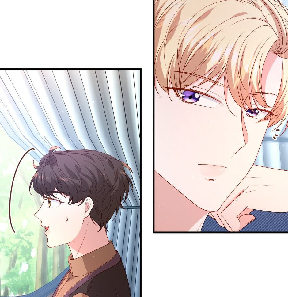 The Prince