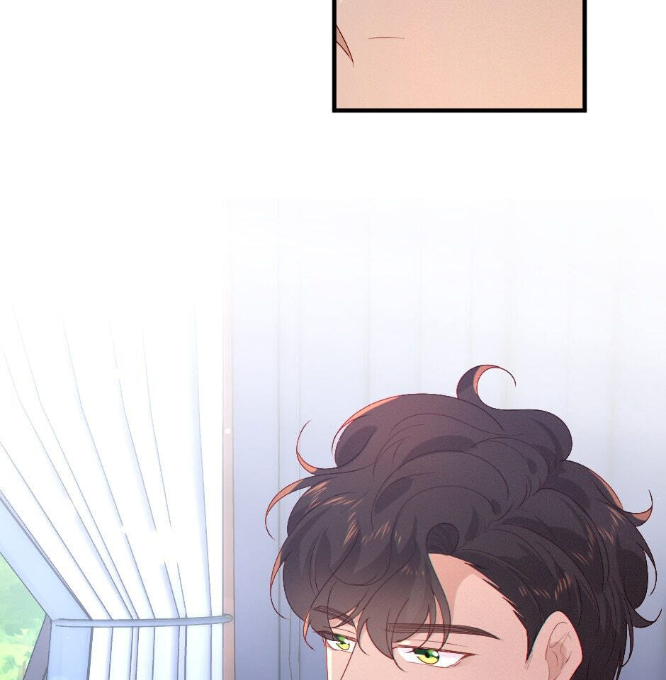 The Prince