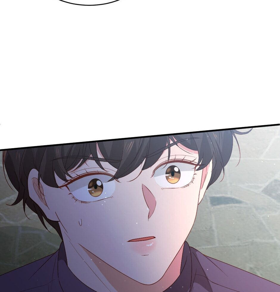 The Prince