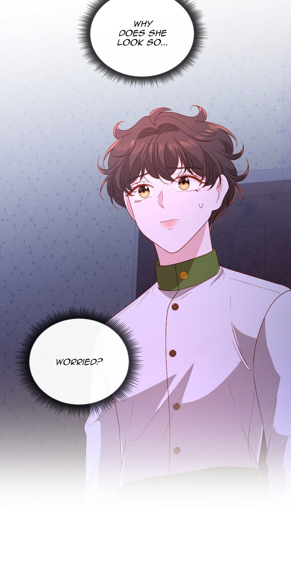 The Prince