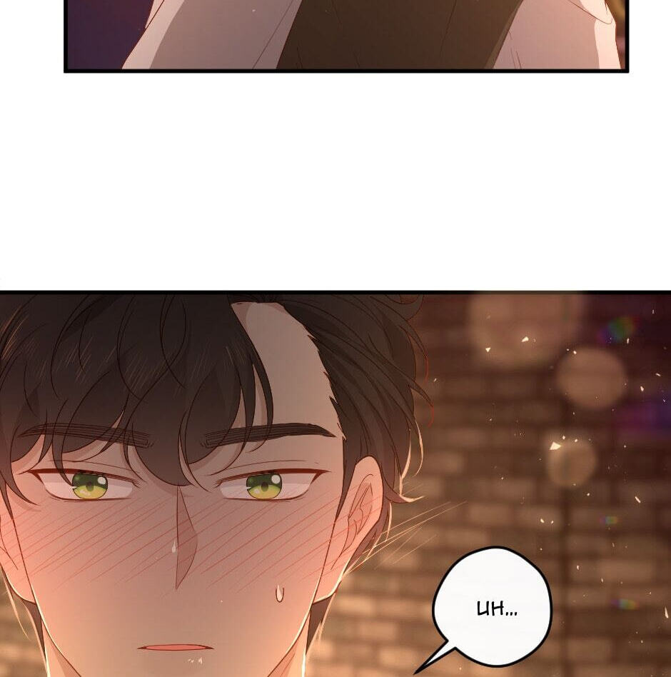 The Prince