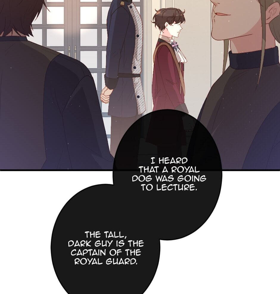 The Prince