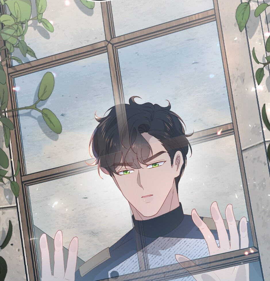 The Prince