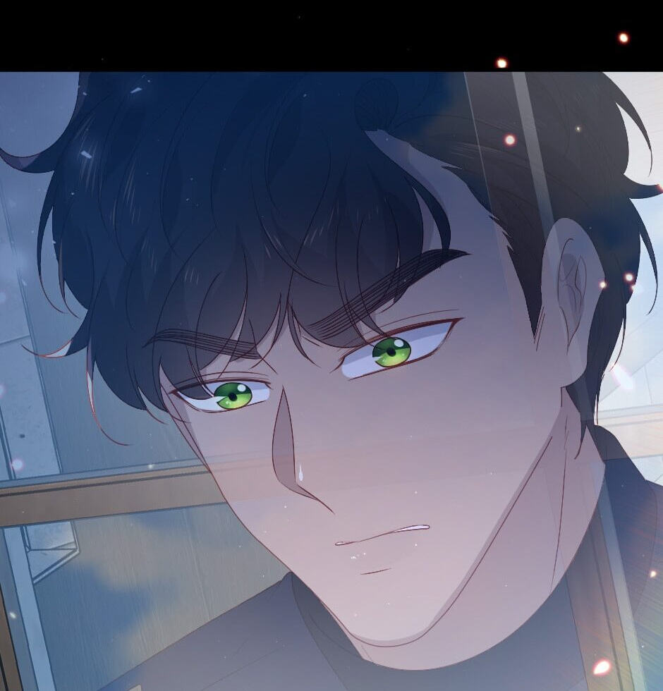 The Prince