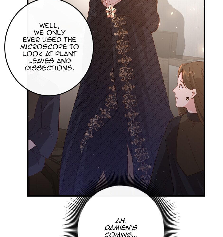 The Prince