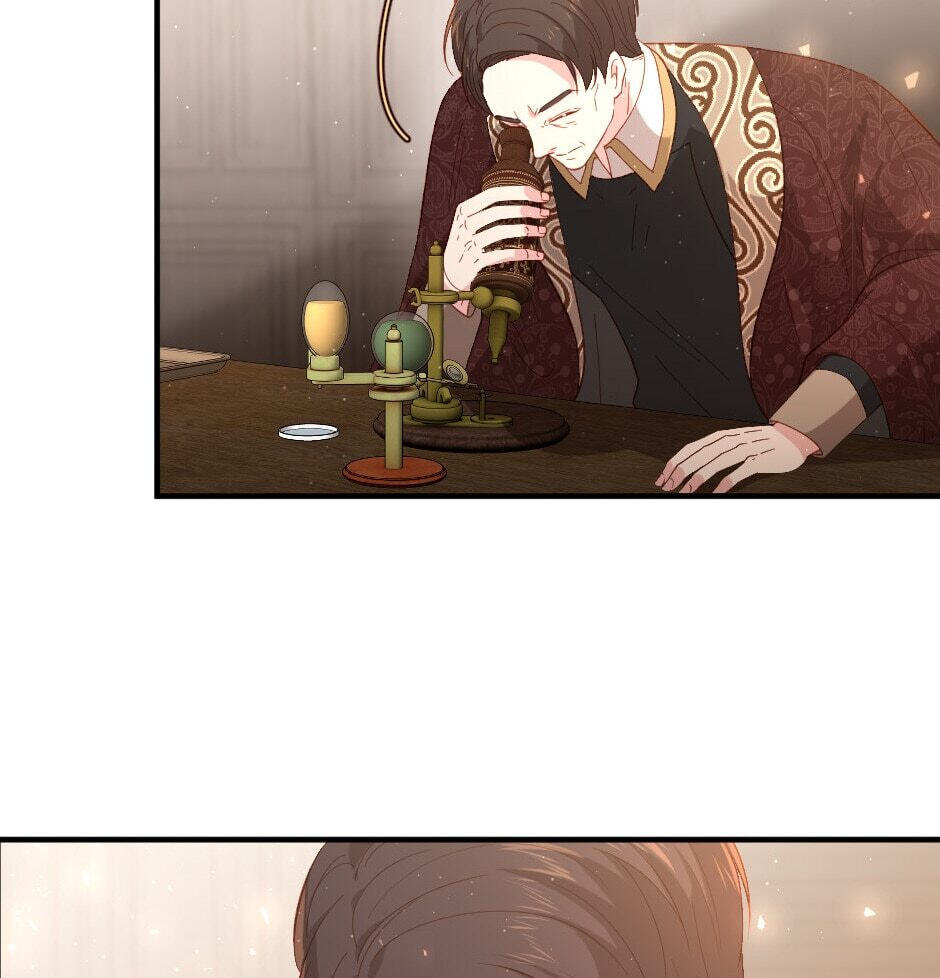 The Prince