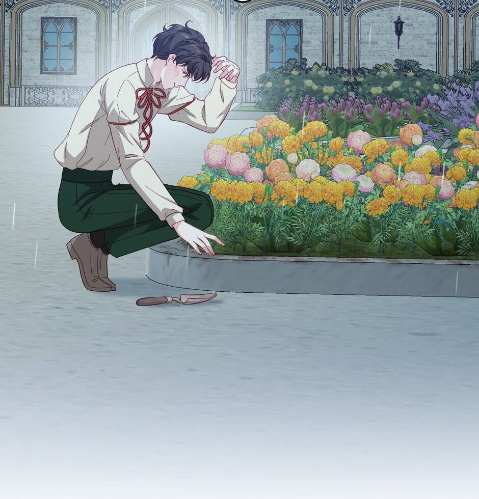 The Prince