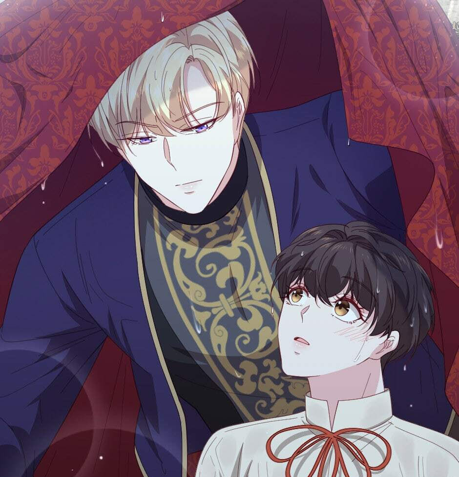 The Prince