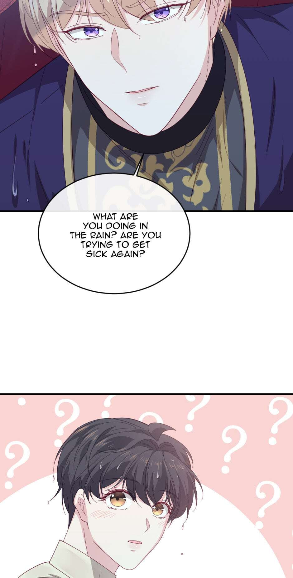 The Prince