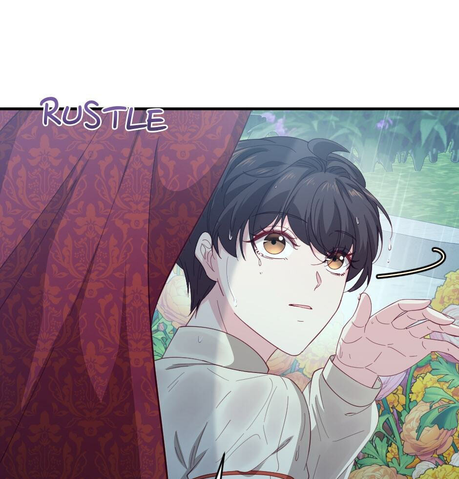 The Prince