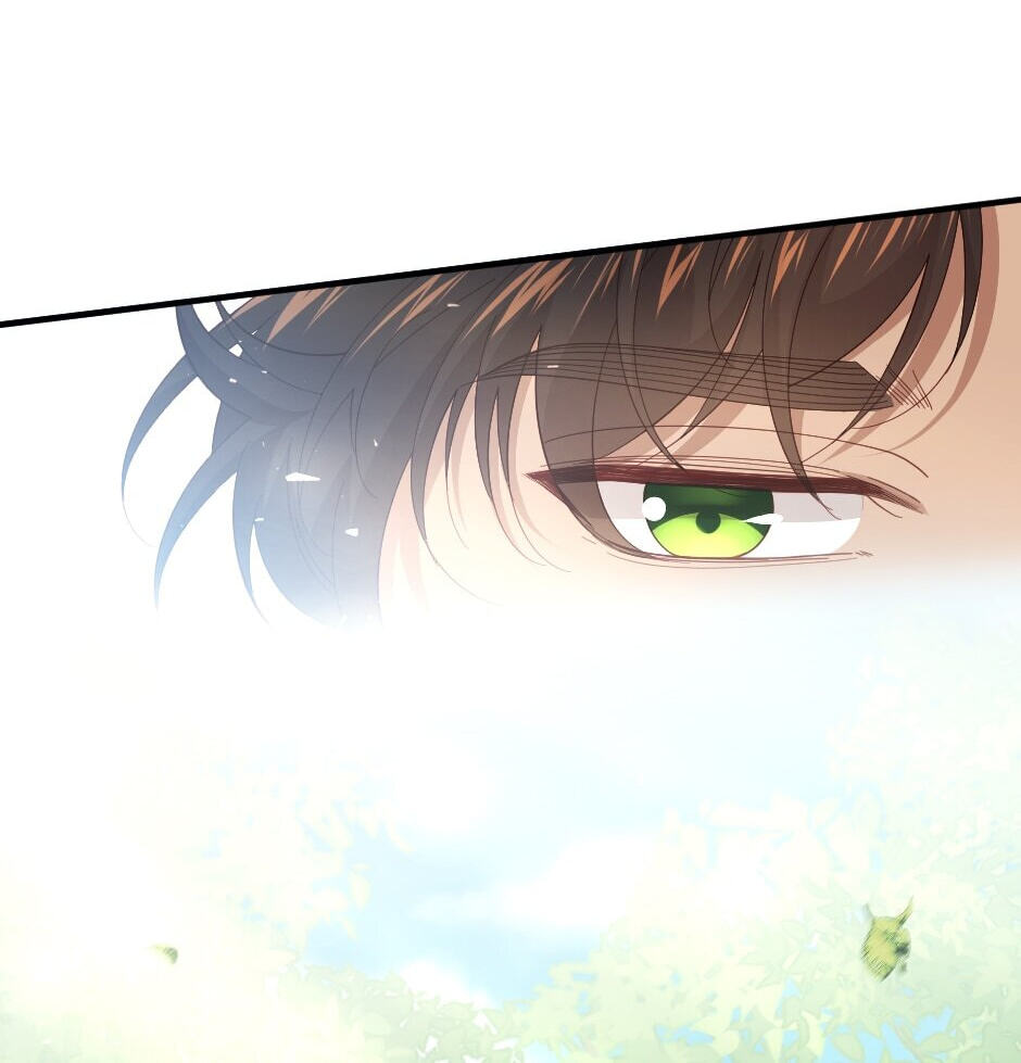 The Prince