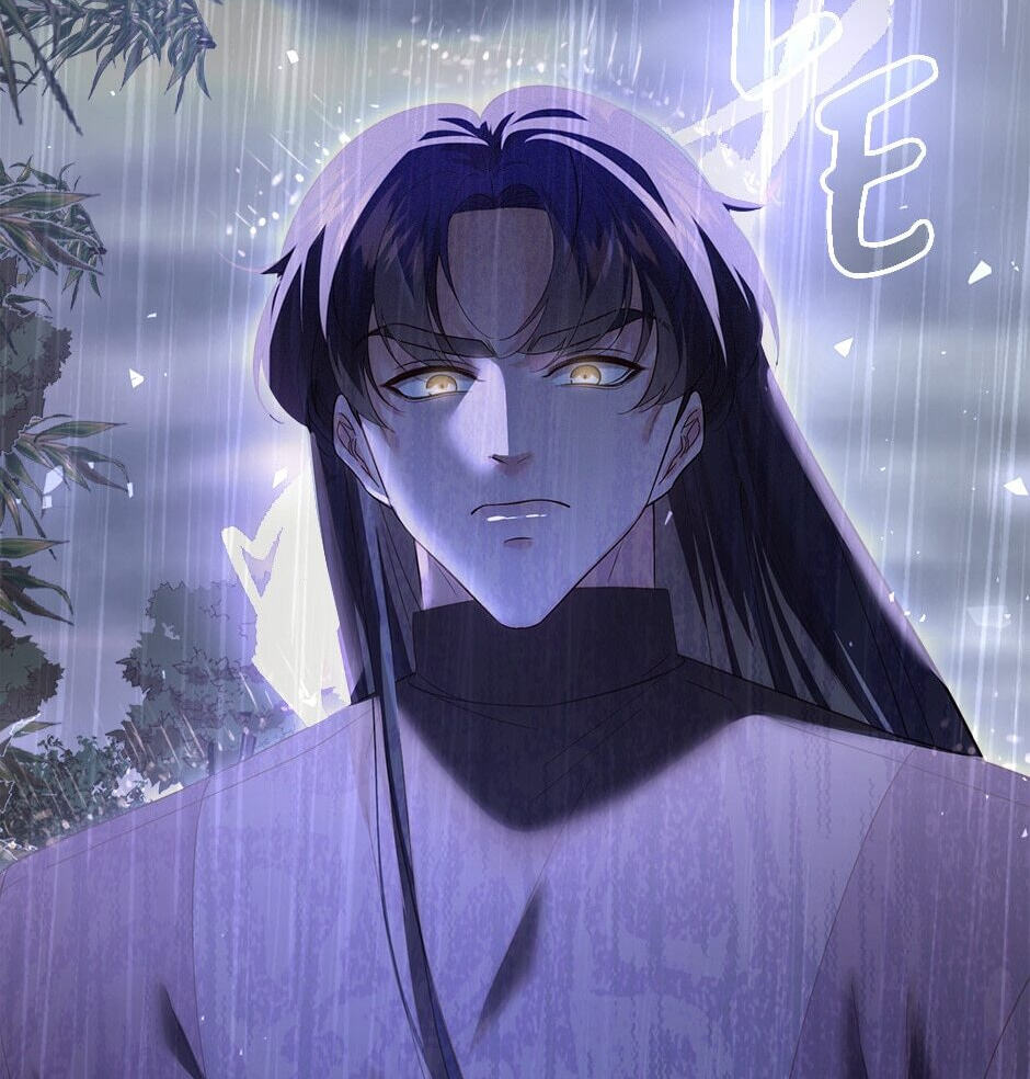 The Prince