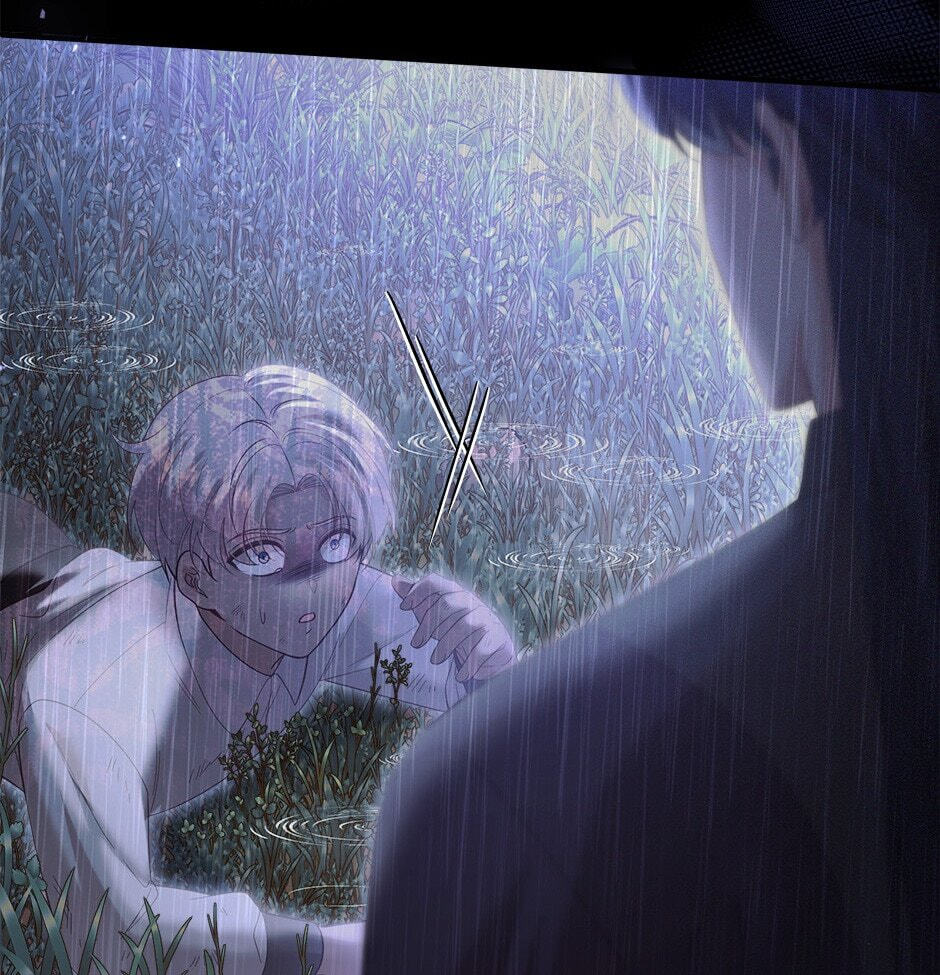 The Prince