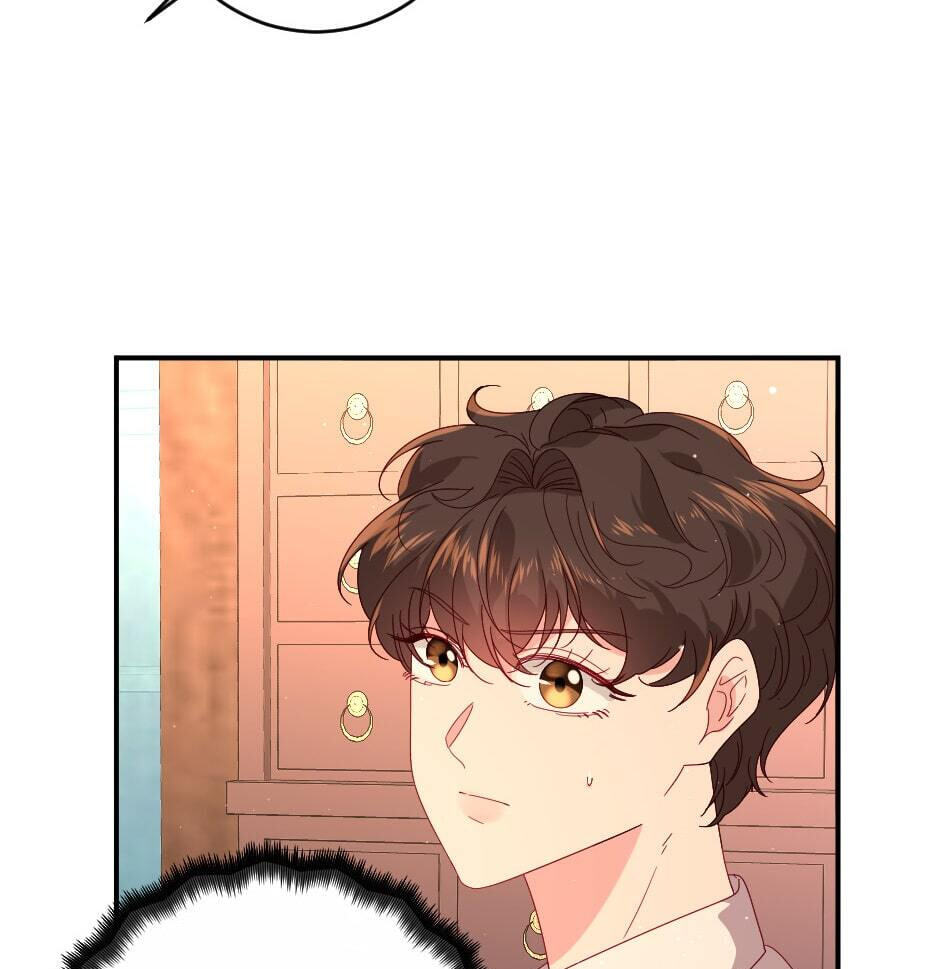 The Prince