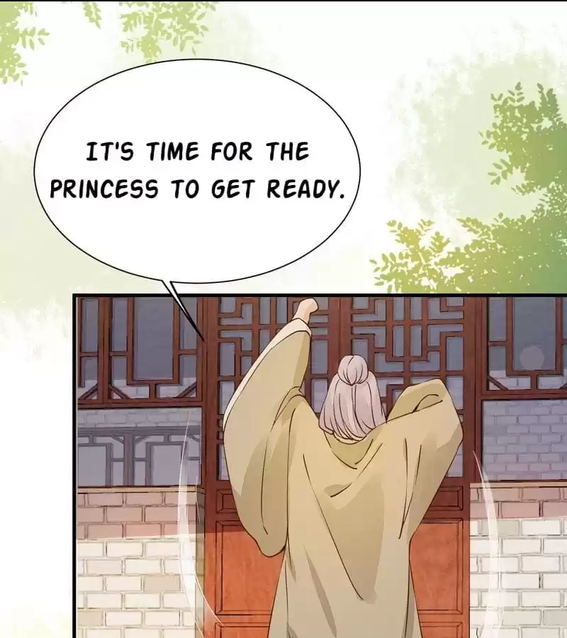 The Princess Is a Man Chapter 25 page 27 - 