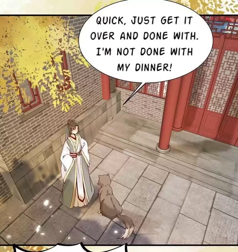 The Princess Is a Man Chapter 36 page 19 - 