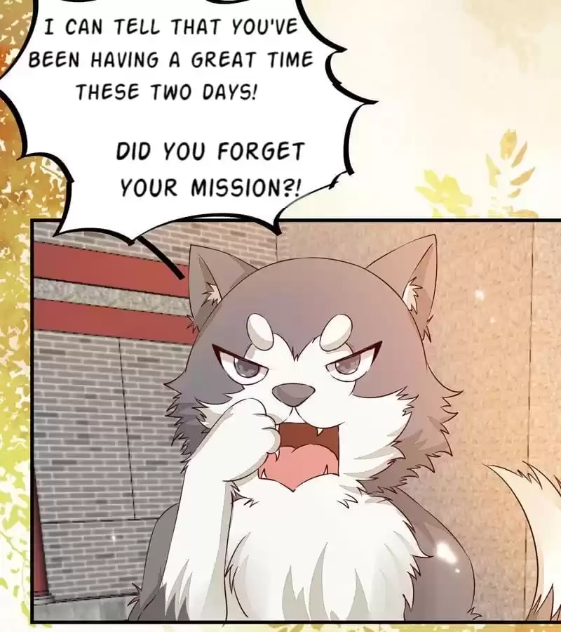 The Princess Is a Man Chapter 36 page 20 - 
