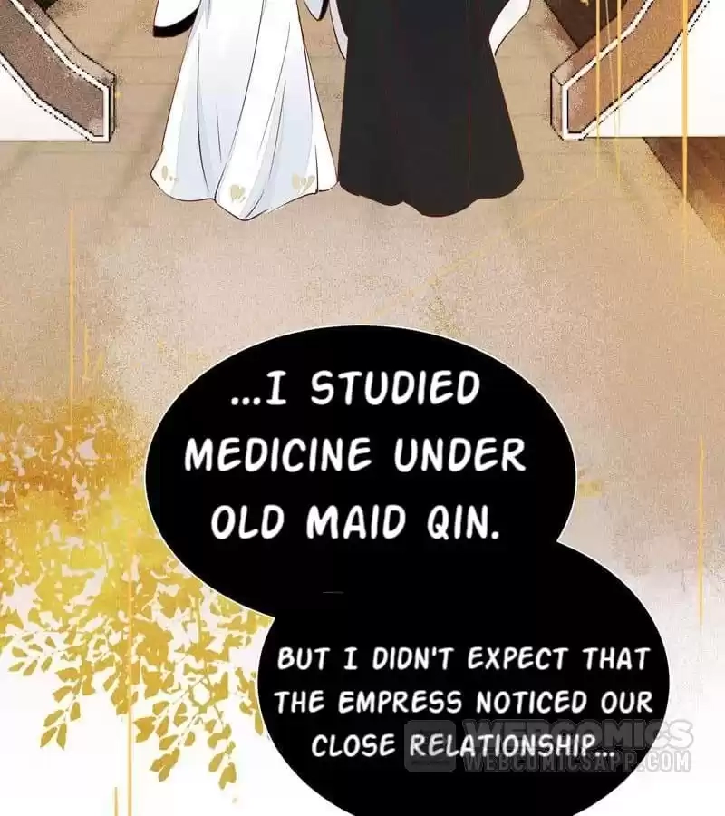 The Princess Is a Man Chapter 37 page 41 - 