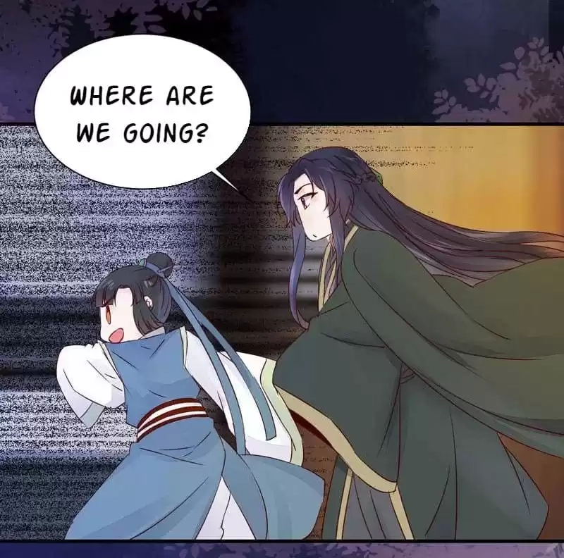 The Princess Is a Man Chapter 40 page 47 - 