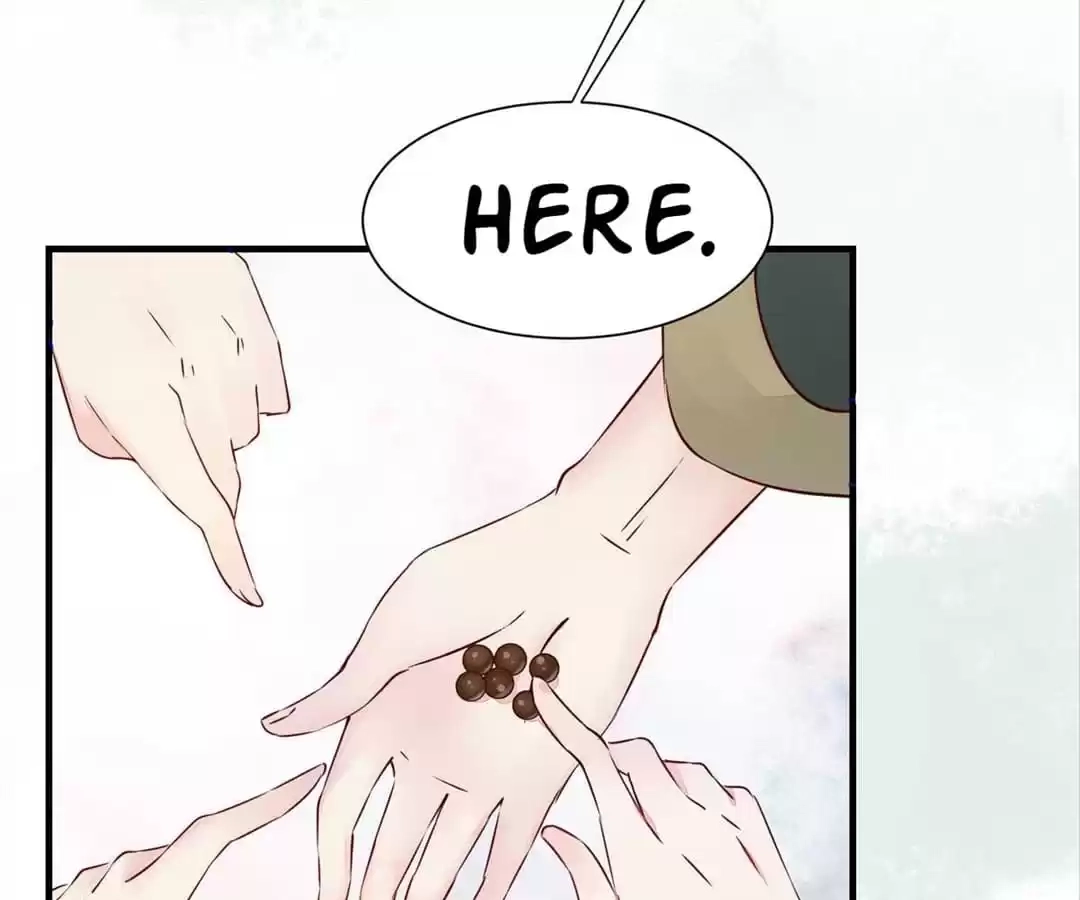 The Princess Is a Man Chapter 48 page 19 - 