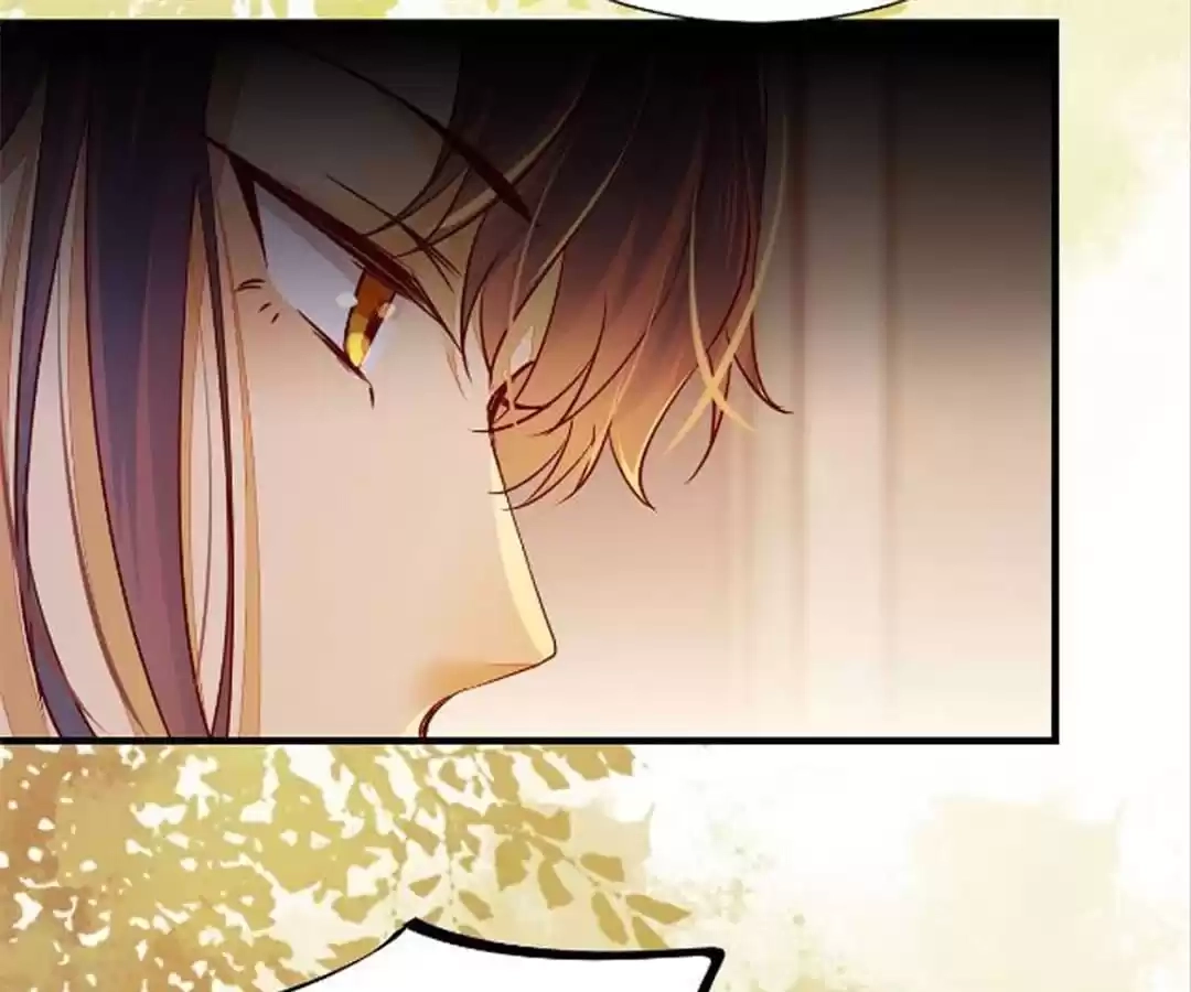 The Princess Is a Man Chapter 53 page 29 - 