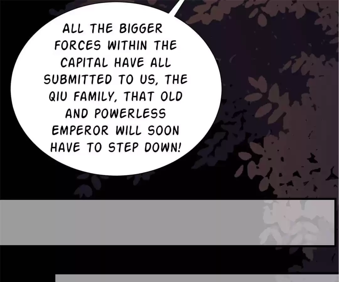 The Princess Is a Man Chapter 55 page 13 - 