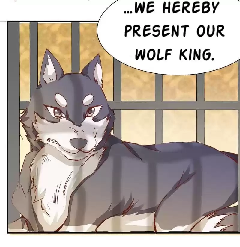 The Princess Is a Man Chapter 6 page 17 - 