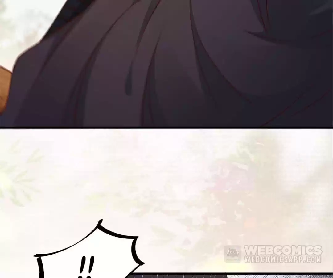 The Princess Is a Man Chapter 64 page 17 - 