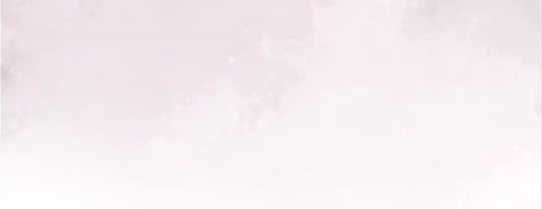 The Princess Is a Man Chapter 65 page 55 - 