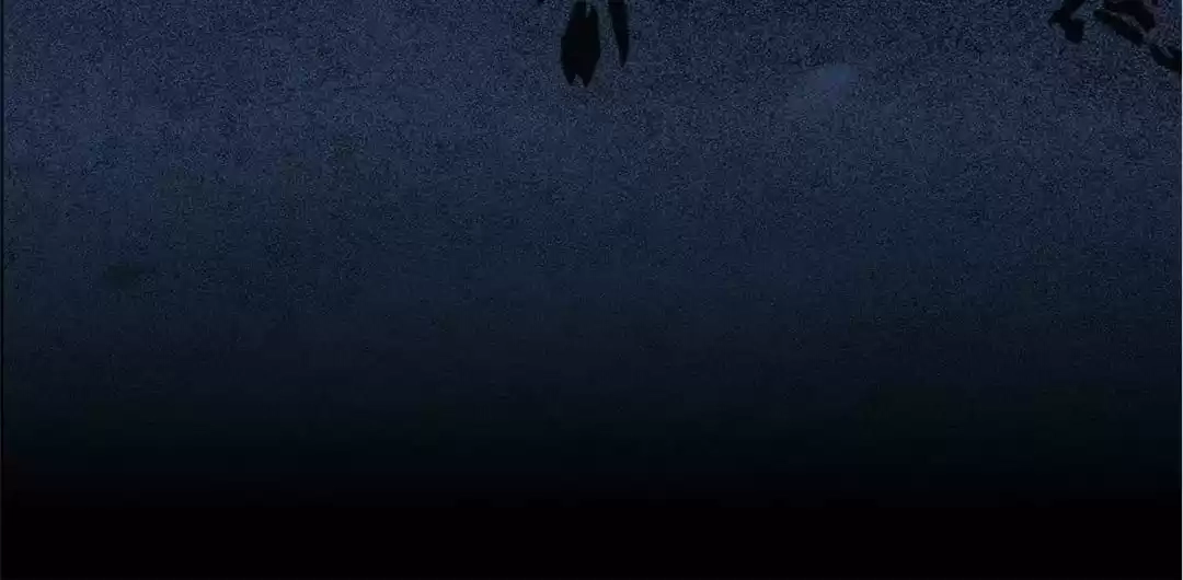 The Princess Is a Man Chapter 68 page 13 - 