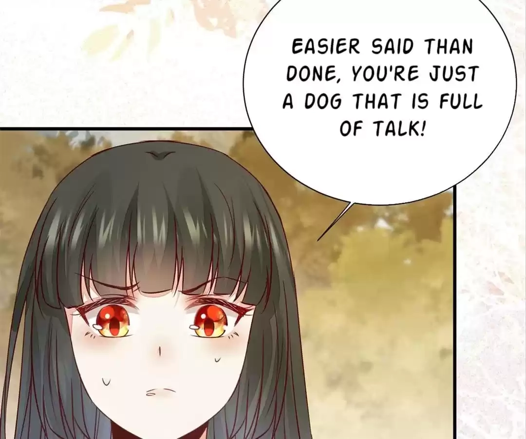 The Princess Is a Man Chapter 72 page 19 - 