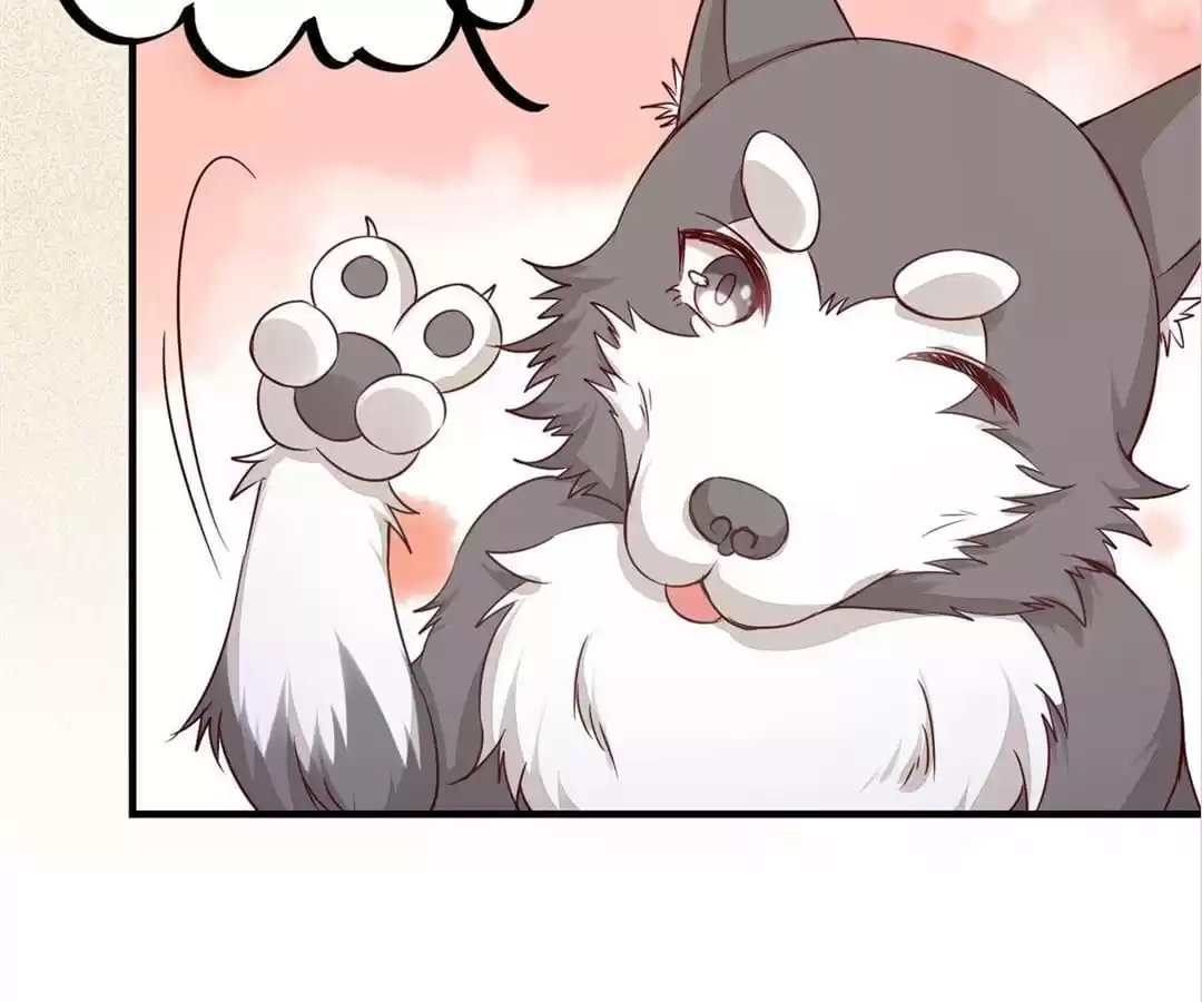 The Princess Is a Man Chapter 72 page 21 - 
