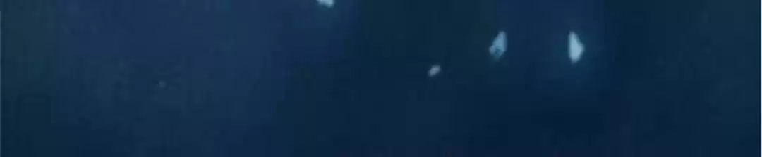 The Princess Is a Man Chapter 73 page 71 - 