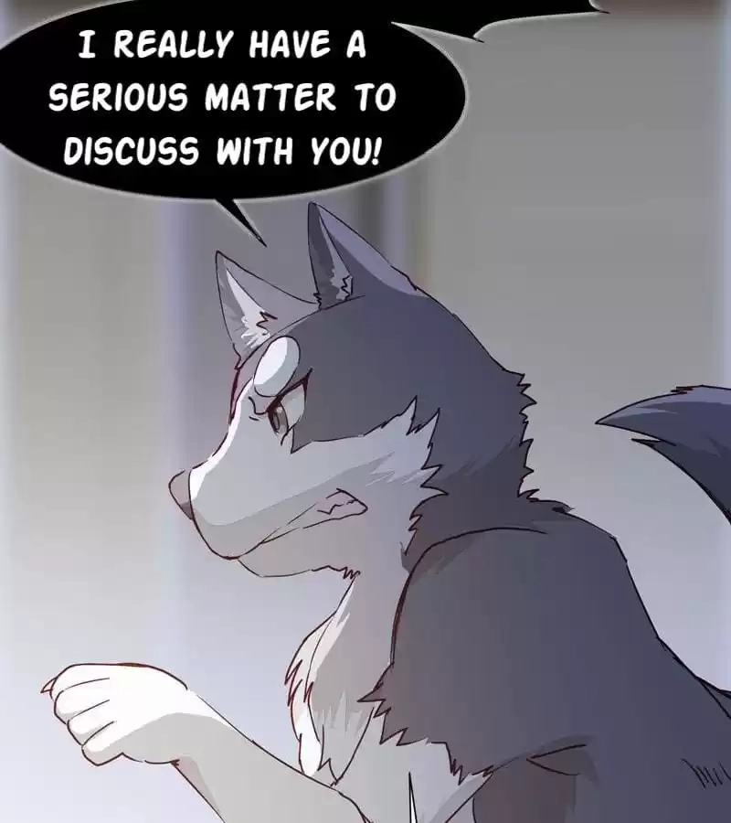 The Princess Is a Man Chapter 8 page 14 - 
