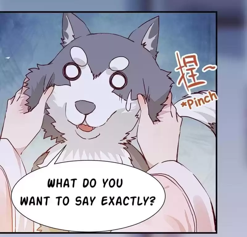 The Princess Is a Man Chapter 8 page 20 - 