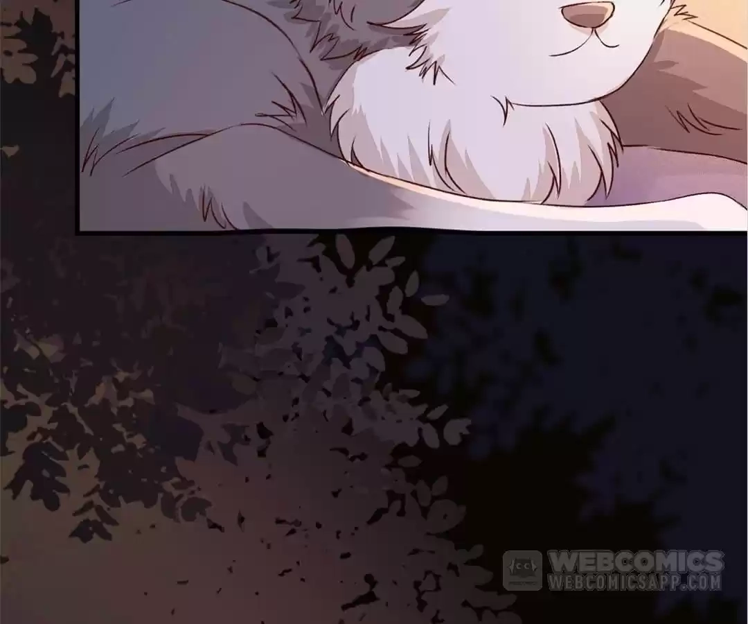 The Princess Is a Man Chapter 83 page 65 - 