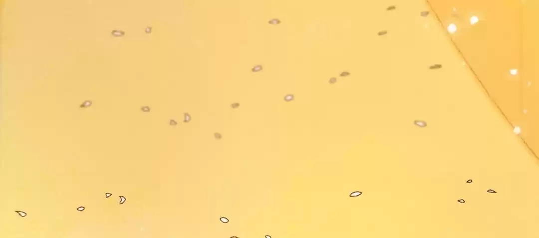 The Princess Is a Man Chapter 97 page 9 - 