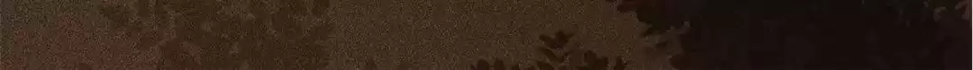 The Princess Is a Man Chapter 98 page 71 - 