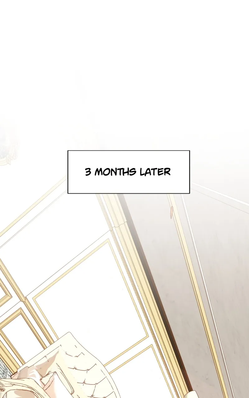 The Princess is Now the Duke Chapter 2 page 1 - 